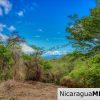 Eco Estate View Property 1.5 Acres Las Fincas de Escamequita