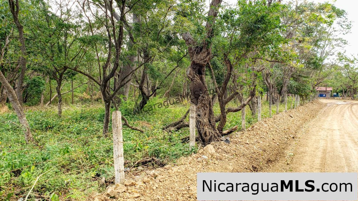 Premium Acre Road to Beaches No Restrictions San Juan del Sur