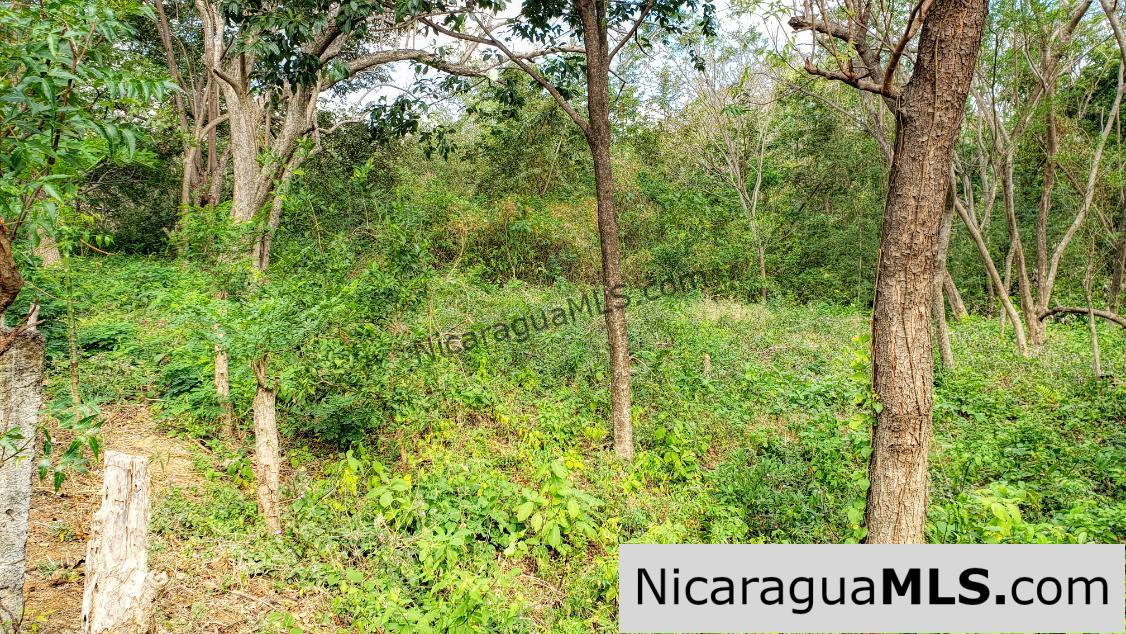 Premium Acre Road to Beaches No Restrictions San Juan del Sur