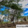 Eco Estate View Property 1.5 Acres Las Fincas de Escamequita