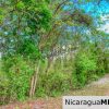 Eco Estate View Property 1.5 Acres Las Fincas de Escamequita