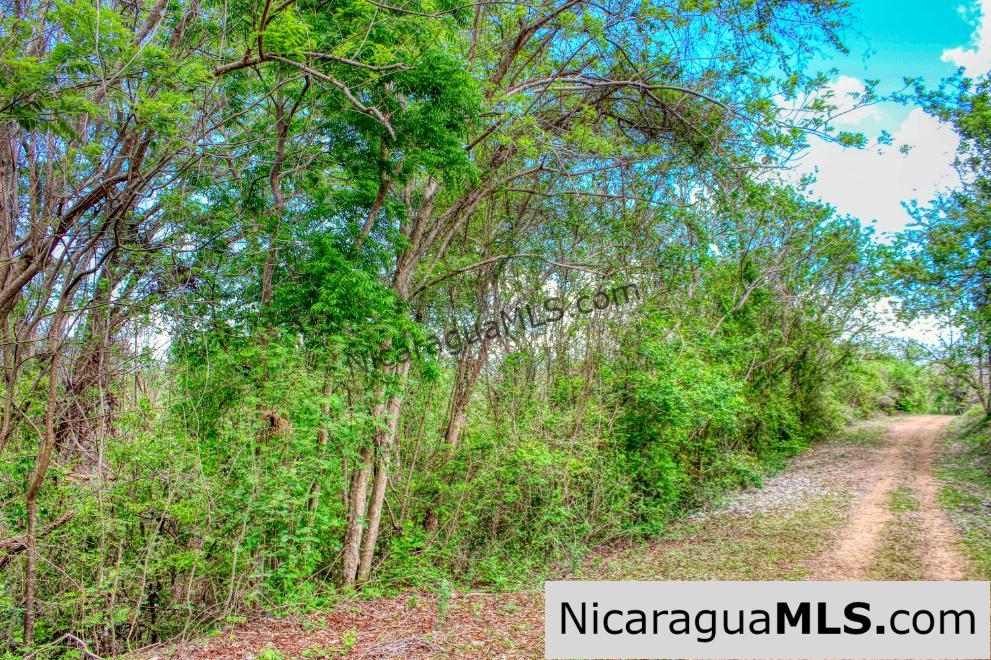Eco Estate View Property 1.5 Acres Las Fincas de Escamequita