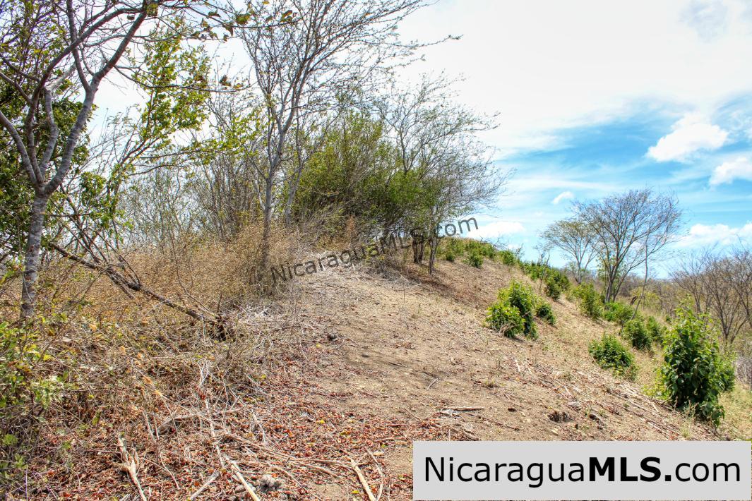 2.5 acres Panoramic Ocean Views Hilltop Ostional