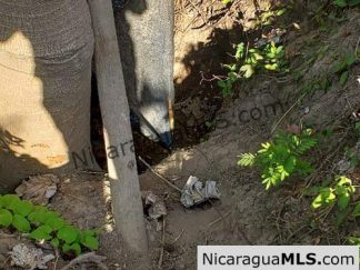 Three Phase 13 Manzana Banana Farm Between Rivas and Tola