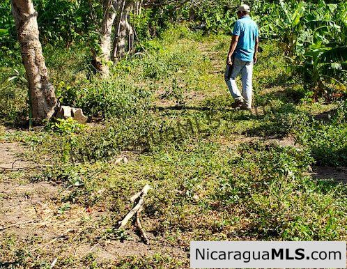 Three Phase 13 Manzana Banana Farm Between Rivas and Tola