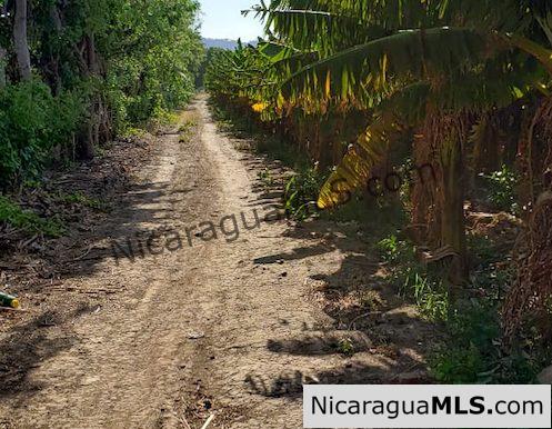 Three Phase 13 Manzana Banana Farm Between Rivas and Tola