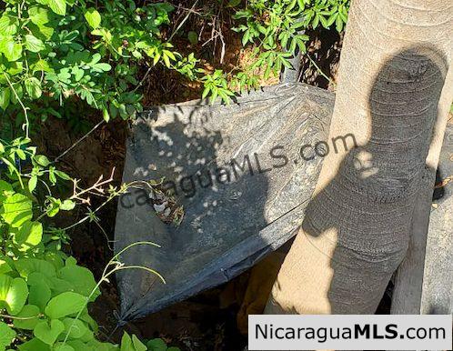 Three Phase 13 Manzana Banana Farm Between Rivas and Tola