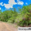Eco Estate View Property 1.5 Acres Las Fincas de Escamequita