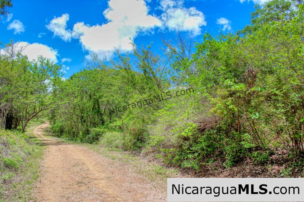 Eco Estate View Property 1.5 Acres Las Fincas de Escamequita