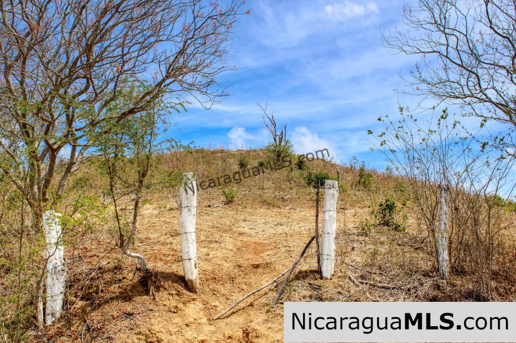 2.5 acres Panoramic Ocean Views Hilltop Ostional