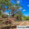 Eco Estate View Property 1.5 Acres Las Fincas de Escamequita