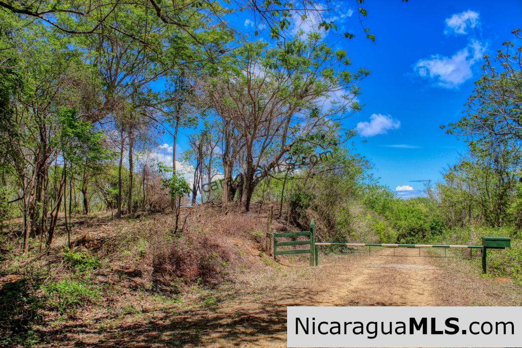 Eco Estate View Property 1.5 Acres Las Fincas de Escamequita