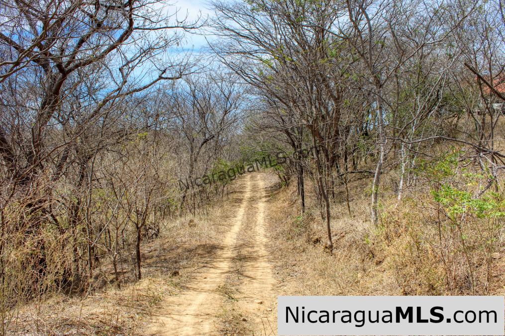 2.5 acres Panoramic Ocean Views Hilltop Ostional