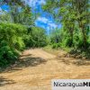Eco Estate View Property 1.5 Acres Las Fincas de Escamequita