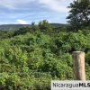 Flat Two Manzana Lot with Great Potential in Las Delicias