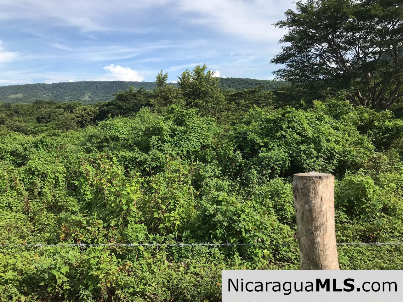 Flat Two Manzana Lot with Great Potential in Las Delicias