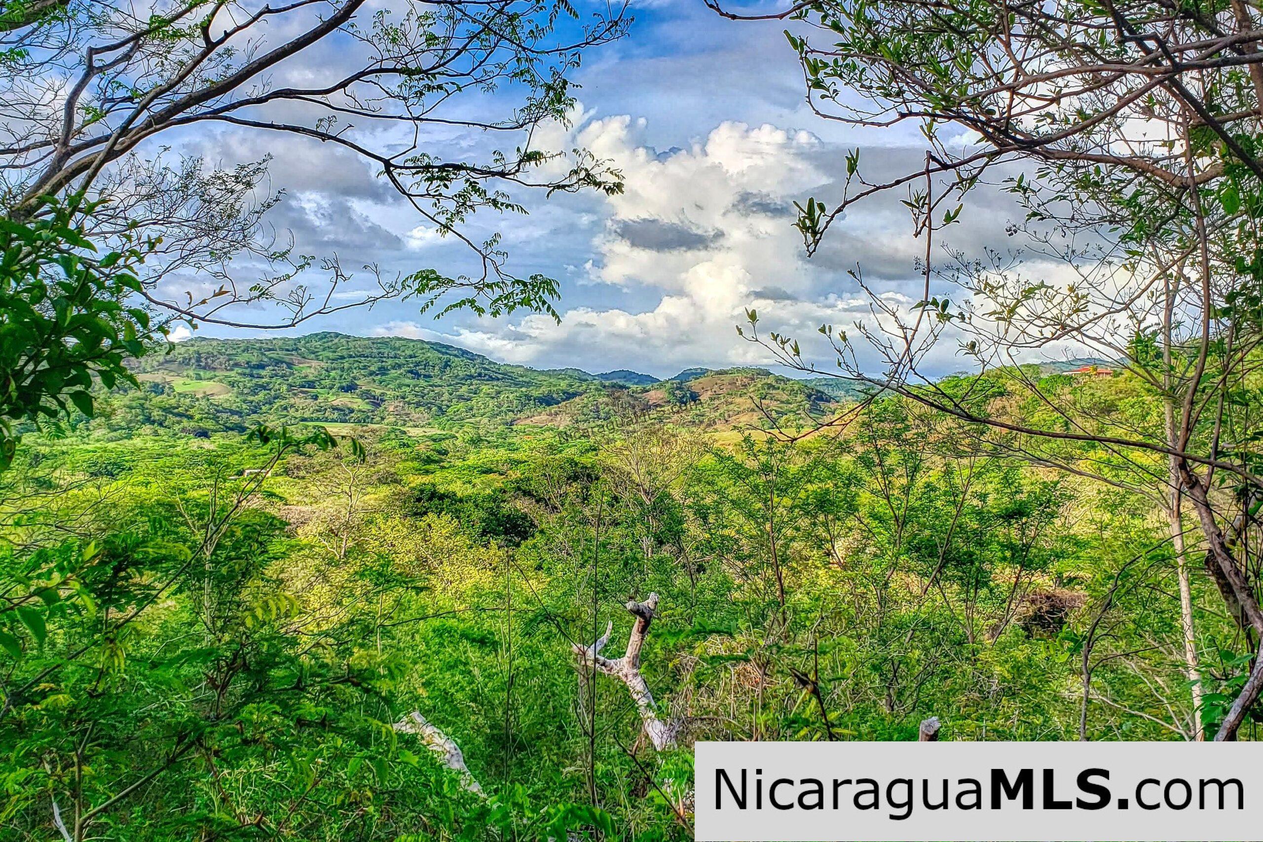 Remanso Hills Forested Views