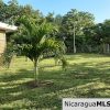 Beautiful House with 60 80 Fruits Tree in Rivas