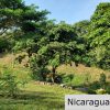 Multi Use Land For Home or Business San Juan del Sur