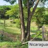 Multi Use Land For Home or Business San Juan del Sur