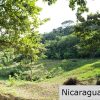 Multi Use Land For Home or Business San Juan del Sur