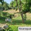 Multi Use Land For Home or Business San Juan del Sur