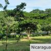 Multi Use Land For Home or Business San Juan del Sur