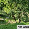 Multi Use Land For Home or Business San Juan del Sur