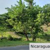 Multi Use Land For Home or Business San Juan del Sur