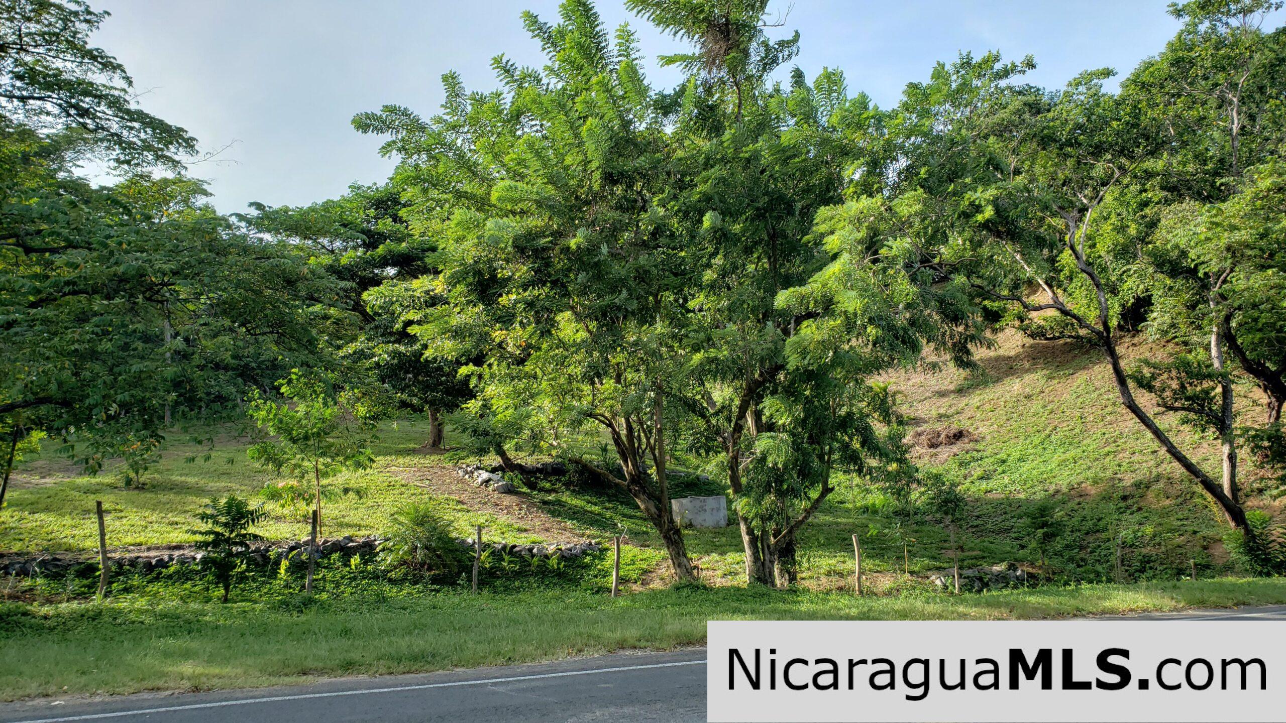 Multi Use Land For Home or Business San Juan del Sur