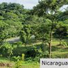 Multi Use Land For Home or Business San Juan del Sur