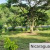 Multi Use Land For Home or Business San Juan del Sur