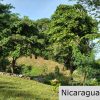 Multi Use Land For Home or Business San Juan del Sur