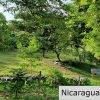 Multi Use Land For Home or Business San Juan del Sur