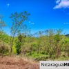 Eco Estate View Property 1.5 Acres Las Fincas de Escamequita