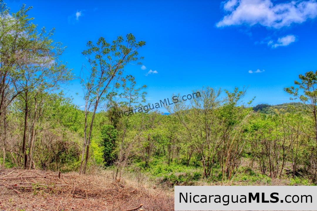 Eco Estate View Property 1.5 Acres Las Fincas de Escamequita