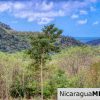 Ocean View Rolling Acres Privacy Arriba Verde Estate