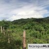 Flat Two Manzana Lot with Great Potential in Las Delicias