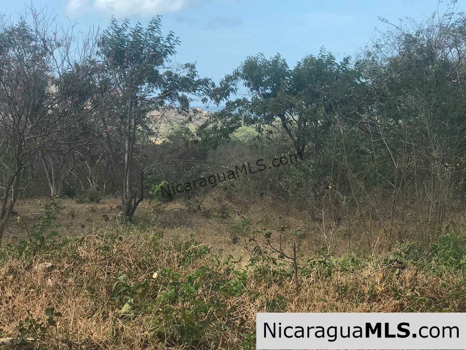 Ocean View Lot 46 for sale in Lomas de Palermo Overlooking SJDS