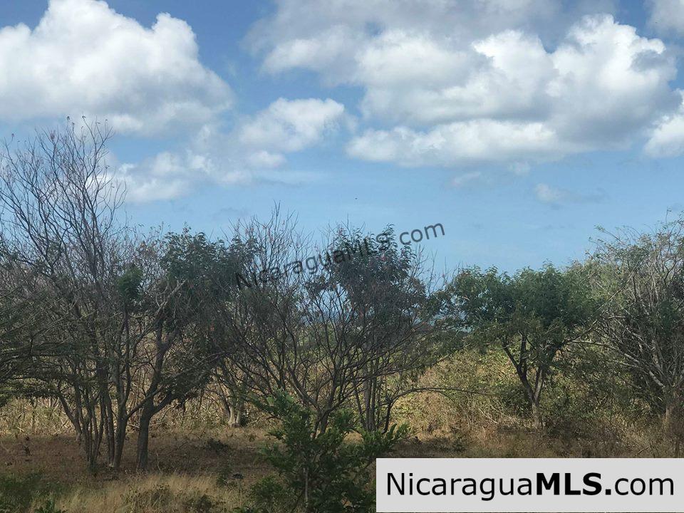 Ocean View Lot 46 for sale in Lomas de Palermo Overlooking SJDS