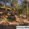 Unspoiled Jungle Property in Miravalle