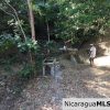 Unspoiled Jungle Property in Miravalle