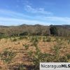 Unspoiled Jungle Property in Miravalle