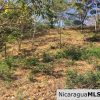Unspoiled Jungle Property in Miravalle