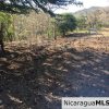 Unspoiled Jungle Property in Miravalle