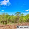 Eco Estate View Property 1.5 Acres Las Fincas de Escamequita
