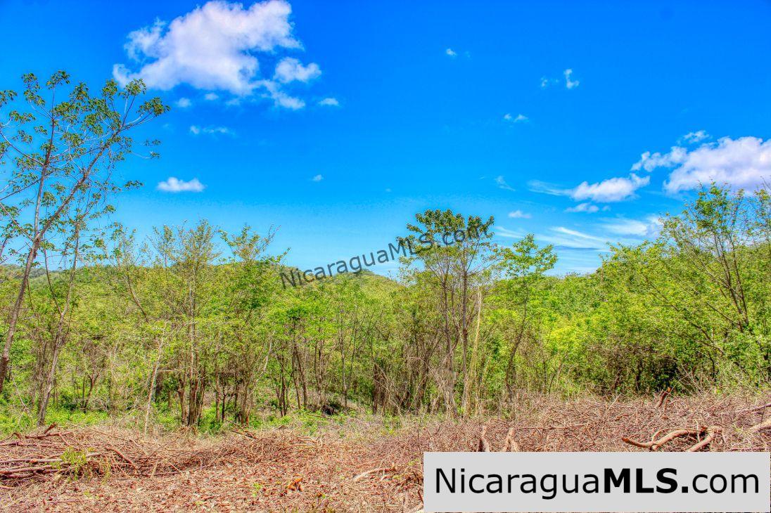 Eco Estate View Property 1.5 Acres Las Fincas de Escamequita