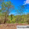 Eco Estate View Property 1.5 Acres Las Fincas de Escamequita