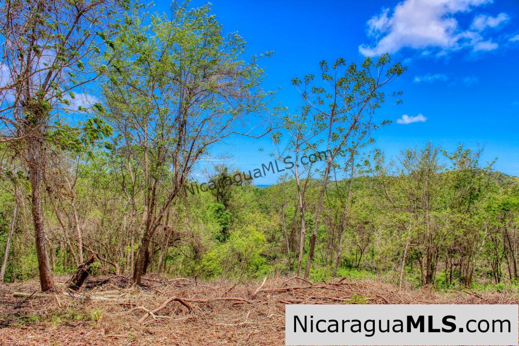 Eco Estate View Property 1.5 Acres Las Fincas de Escamequita