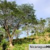 7 Acre View Homesite Minutes to San Juan del Sur Town